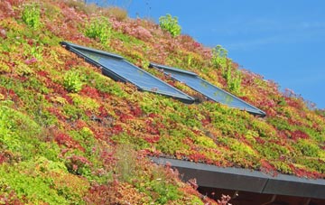 Syresham living roof systems